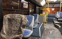 Фото новости