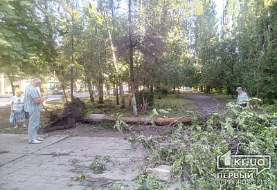Фото к новости Главное фото новости