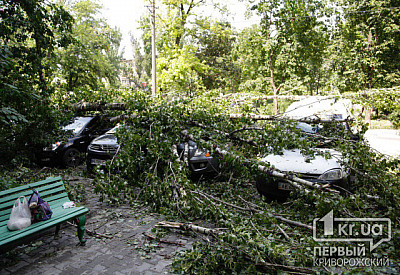 Фото к новости Главное фото новости