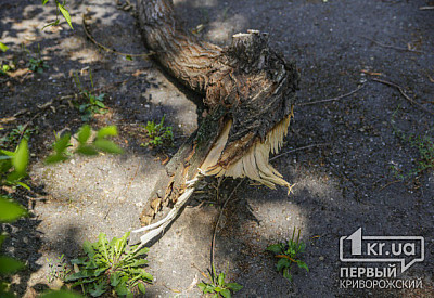 Фото к новости Главное фото новости