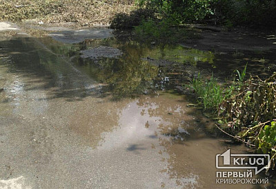 Фото к новости Главное фото новости