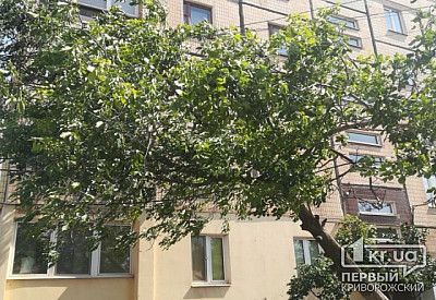 Фото к новости Главное фото новости