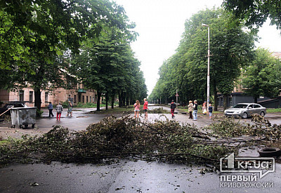 Фото к новости Главное фото новости