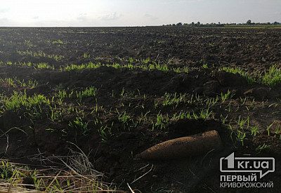 Фото к новости Главное фото новости