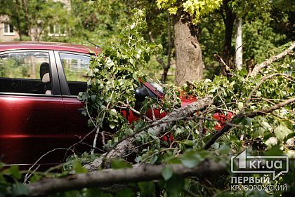 Более 40 автомобилей в Кривом Роге повреждено в результате падения деревьев