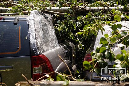 Добиться материальной компенсации жертвам урагана в Кривом Роге помогут юристы