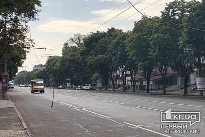 В Кривом Роге чиновники и коммунальщики ищут владельцев шнурков, которые висят посреди города