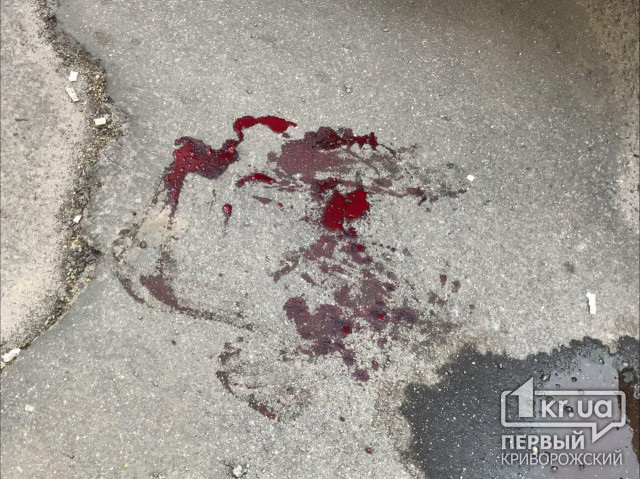 В Кривом Роге водитель на авто сбил подростка и скрылся с места ДТП
