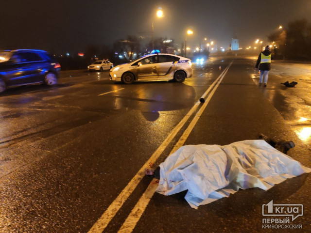 Полицейские ищут свидетелей ночного ДТП на проспекте 200-летия Кривого Рога