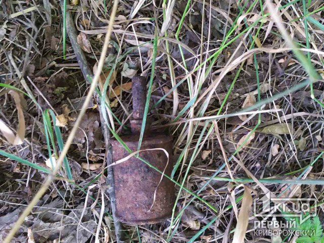 В Криворожском районе мужчина собирал металлолом, а нашел гранату