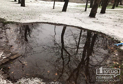 Фото к новости Главное фото новости