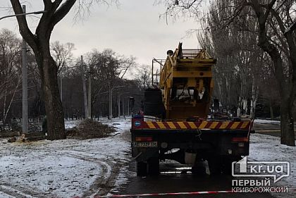 В криворожском парке, где пройдут новогодние празднования, коммунальщики обрезают деревья