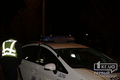 В Кривом Роге 4 411 пьяных водителей привлекли к ответственности за год