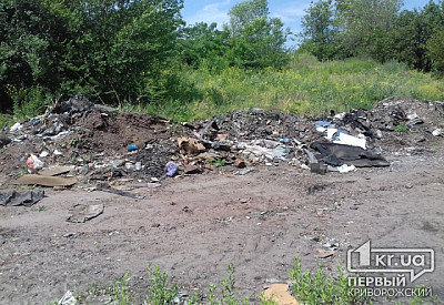 Фото к новости Главное фото новости