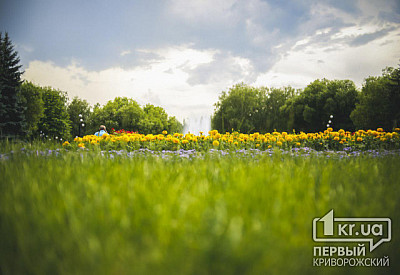 Фото к новости Главное фото новости