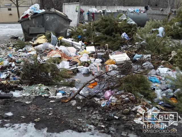 Снег сошёл, видим всю красоту, - в Кривом Роге заявили о срыве графика вывоза мусора