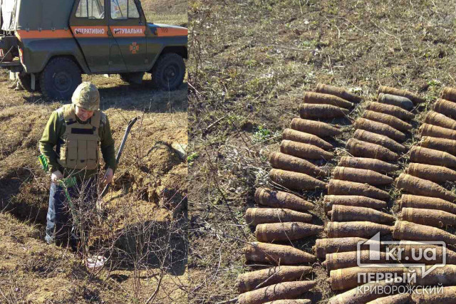 Более 50 боеприпасов уничтожили под Кривым Рогом спасатели