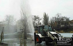 В криворожском парке образовался «гейзер»