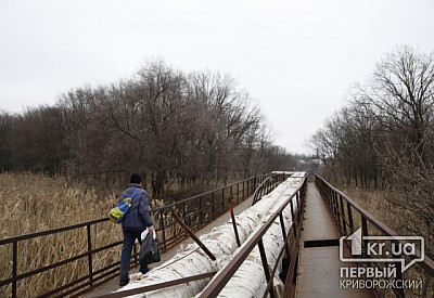 Фото к новости Главное фото новости