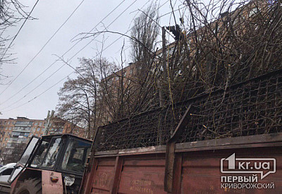 Фото к новости Главное фото новости