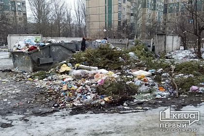 В Кривом Роге пытались разобраться, кто виноват в скоплении мусора на контейнерных площадках