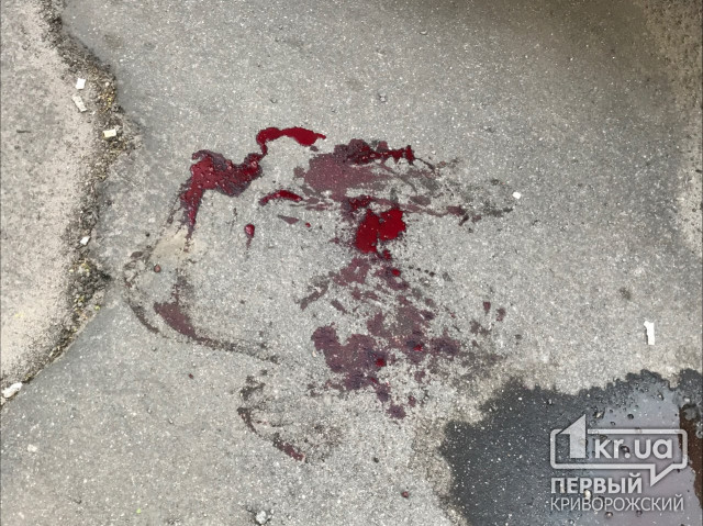 ДТП в Кривом Роге: полицейский сбил велосипедиста