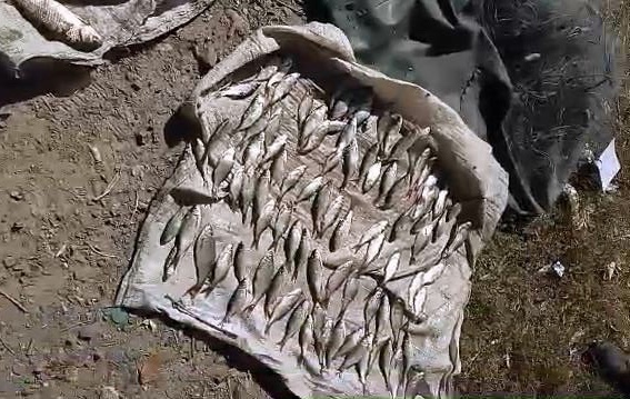 Криворожанин выловил 8 кило рыбы и нанёс водным биоресурсам почти 7000 гривен ущерба
