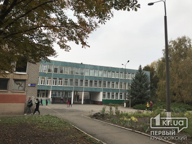 Ученики  школы №118 в Кривом Роге заразились норовирусом из-за нарушений санитарных норм в пищеблоке
