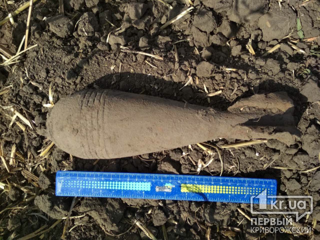 Спасатели уничтожили мину, найденную в селе Криворожского района