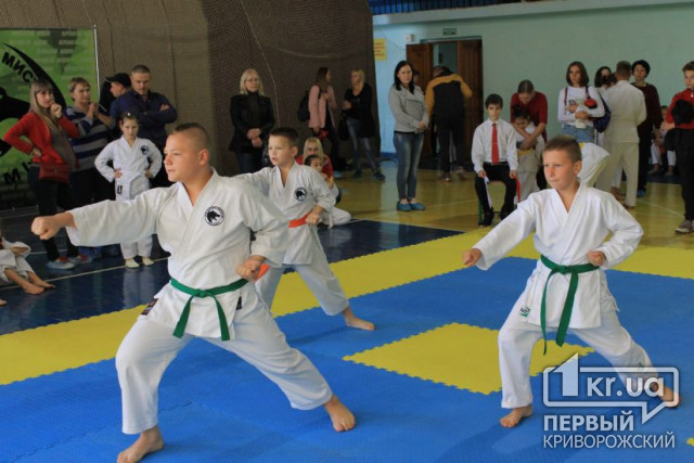 Больше 30 медалей завоевали криврожские каратисты на Кубке Днепропетровской области