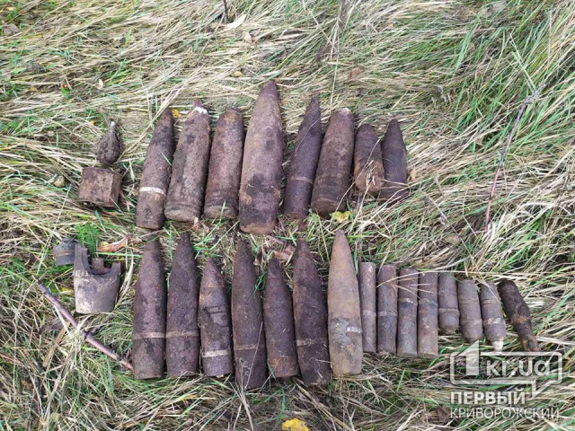 В Криворожском районе обнаружено 28 взрывоопасных предметов