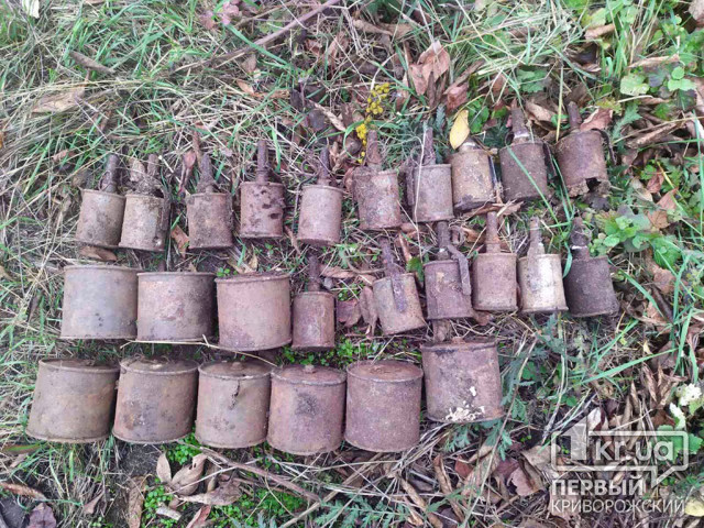 В Криворожском районе спасатели обезвредили 25 боеприпасов