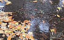 Фото новости