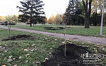 Фото новости