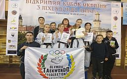 Криворожане завоевали несколько медалей на чемпионате по тхэквондо