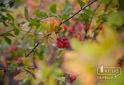 Фото к новости Главное фото новости