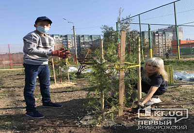Фото к новости Главное фото новости