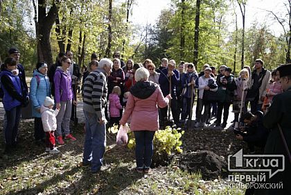 В криворожском парке высадили канадский церцис