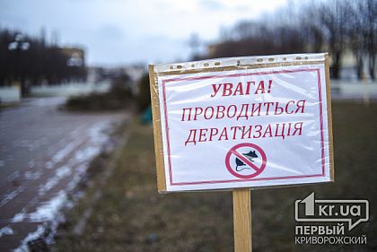 Сколько в Кривом Роге потратили на борьбу с грызунами возле горисполкома
