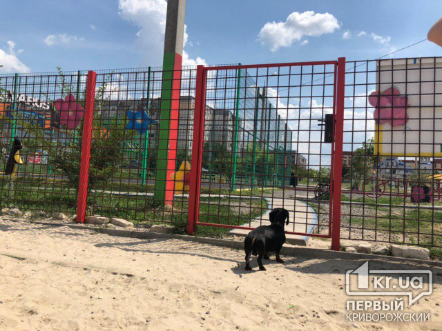 В Кривом Роге чиновникам удалось сэкономить на закупке элементов площадки для выгула собак