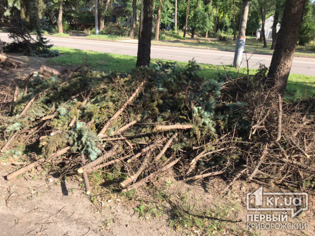 Криворожские управители не должны складировать на красной линии и придомовых территориях ветки и деревья, - заявление