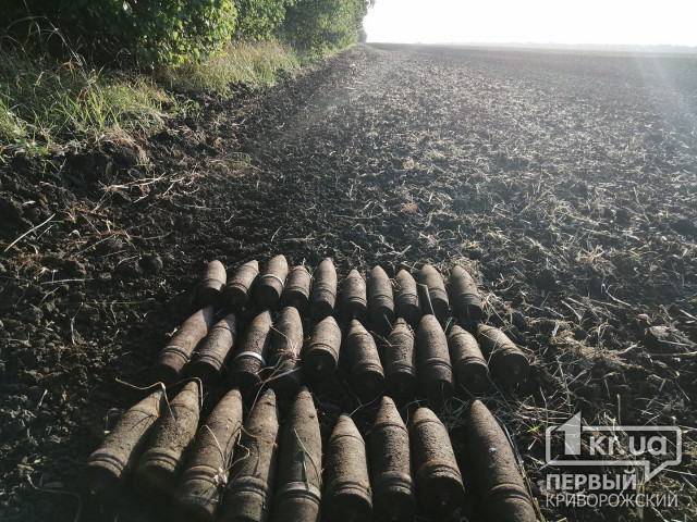 Житель криворожского района нашел на огороде взрывоопасные снаряды