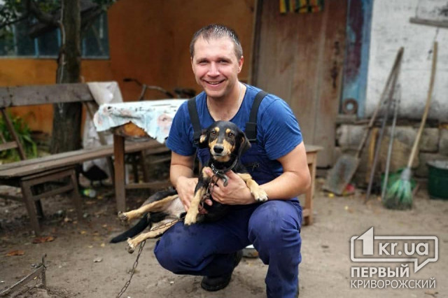На выходных чрезвычайники спасли нескольких собак и кота в Днепропетровской области