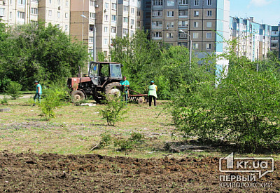 Фото к новости Главное фото новости