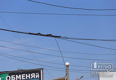 Фото к новости Главное фото новости