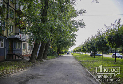 Фото к новости Главное фото новости