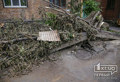 Фото к новости Главное фото новости