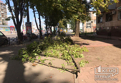 Главное фото новости