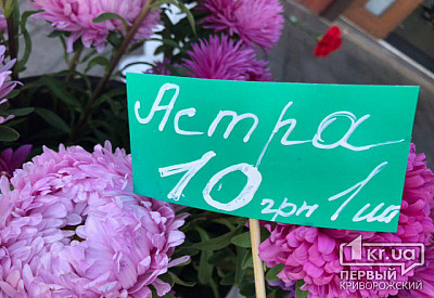 Фото к новости Главное фото новости