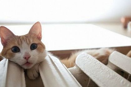 Жители какого района Кривого Рога меньше всех выплачивают долги за тепло